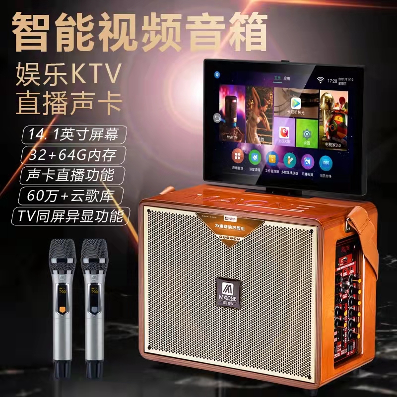 Mandragon KT-222 Square Dance Outdoor Sound with display High power live K Godot song All speakers