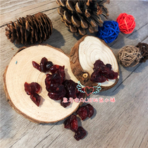 (Rat and You) Squirrel Honey Gangster Flying Mouse Snacks Interactive Berry Cranberry Dried Fruit Snacks Rich in Vitamins