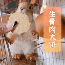 Squirrel small honey bag glide Flower Branch mouse fat fat fat fat raw bone meat cake interaction nutrition high protein snacks