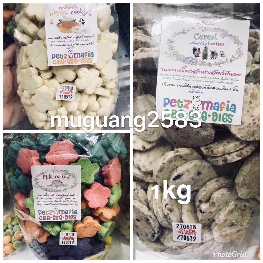 Thailand's small pet multi-dimensional biscuit squirrel chinchilla flower branch rat honey bag glider groundhog loves to eat golden bear interactive weapon