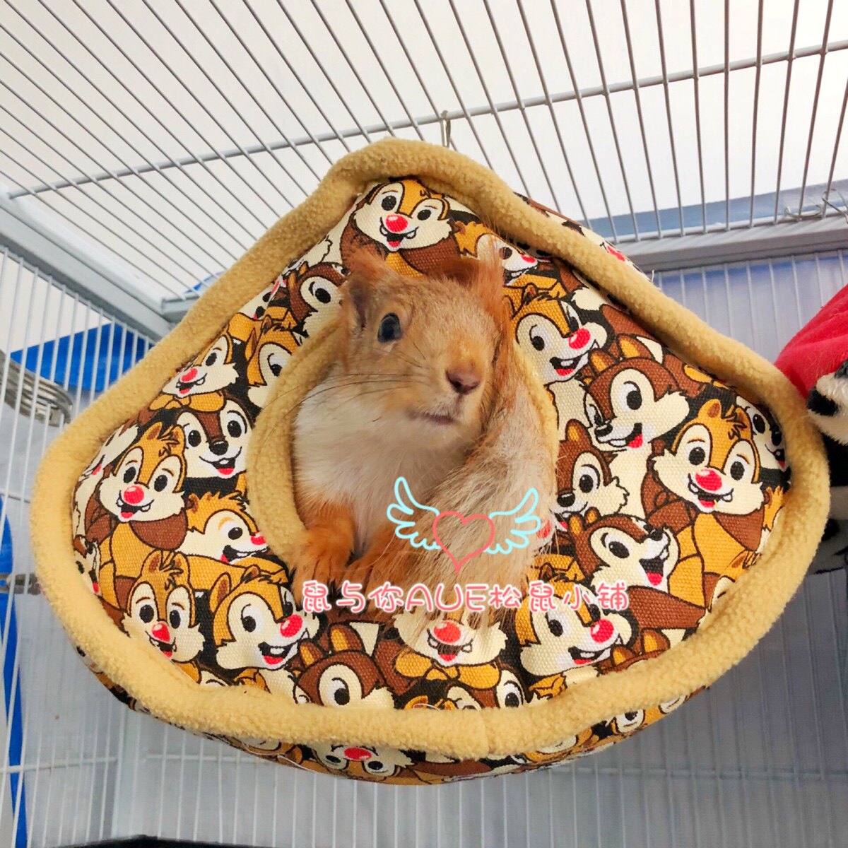 Little Pet Four Seasons Universal Dragon Cat Squirrel Pet Mink Blacktail Groundhog New Hanging Nest ️