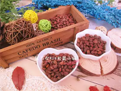 (Rat and you) Squirrel staple food Daxinganling horsetail pine nuts squirrel food full pine nuts squirrel staple food