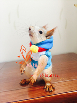 Squirrel clothes Doraemon selling cute clothes for winter warmth detachable Bell squirrel universal small jingle]
