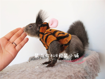 Squirrel supplies cute little tiger outfit super cute squirrel photo pose squirrel clothes thin demon king Snow