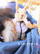 Squirrel clothes super cute soft sister squirrel clothes princess dress two-color squirrel skirt devil snow application