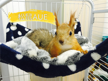 Squirrel cotton Nest winter warm egg bag rice nest Baby er Good Night series drill drill warm small pet Super Love