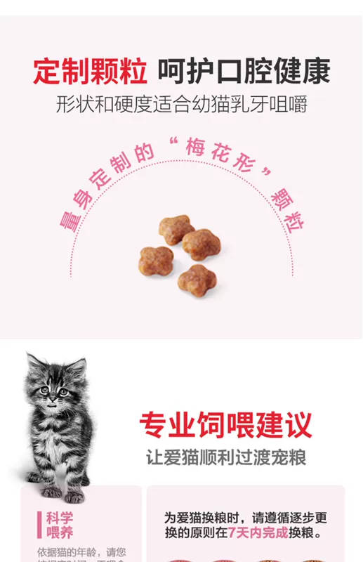 Royal Kitten Sữa Cake Cat Food BK34 Kitten Kitten Food 400g * 2 Thời kỳ cai sữa Tháng 1-Tháng 4 Chất béo dinh dưỡng Gait - Cat Staples