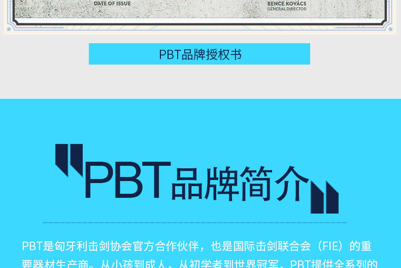 Электрический меч бар-пуганг dyn-stm_25.jpg