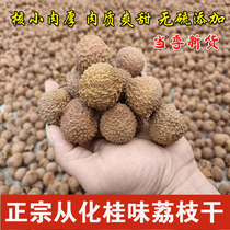 2024 new arrival Guangdong Conghua Gui flavor lychee dry core small meat thick special large fruit raw sun-dried lychee 500g