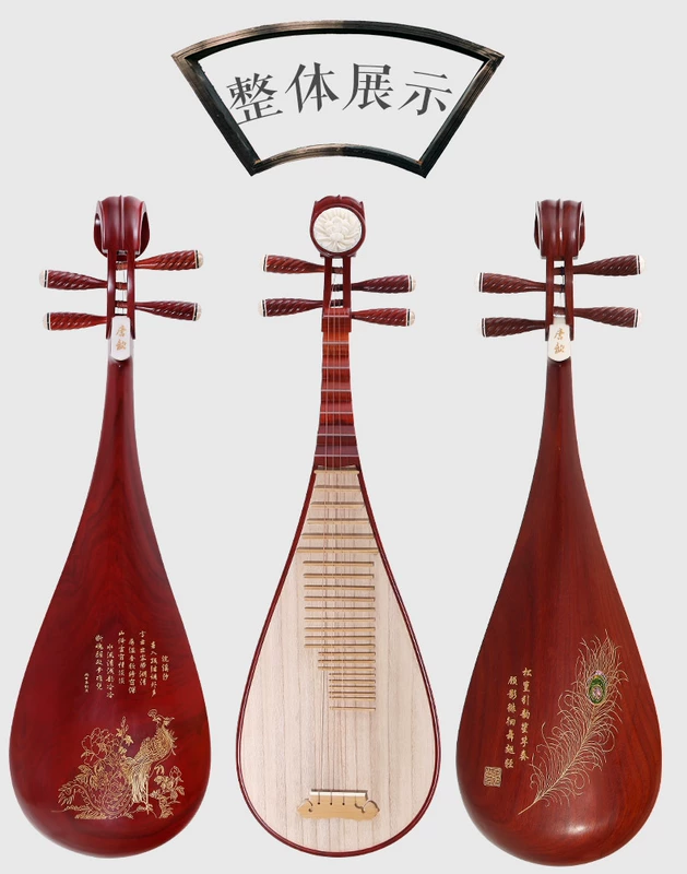 New Rosewood Pipa Children dành cho người lớn Bài kiểm tra chuyên môn Hiệu suất Đặc biệt Nhà máy nhạc cụ Pipa Bán hàng trực tiếp - Nhạc cụ dân tộc