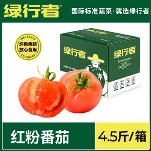 盒马都在卖的番茄！绿行者红粉番茄4.5斤