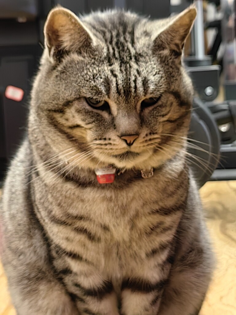 木语时光店