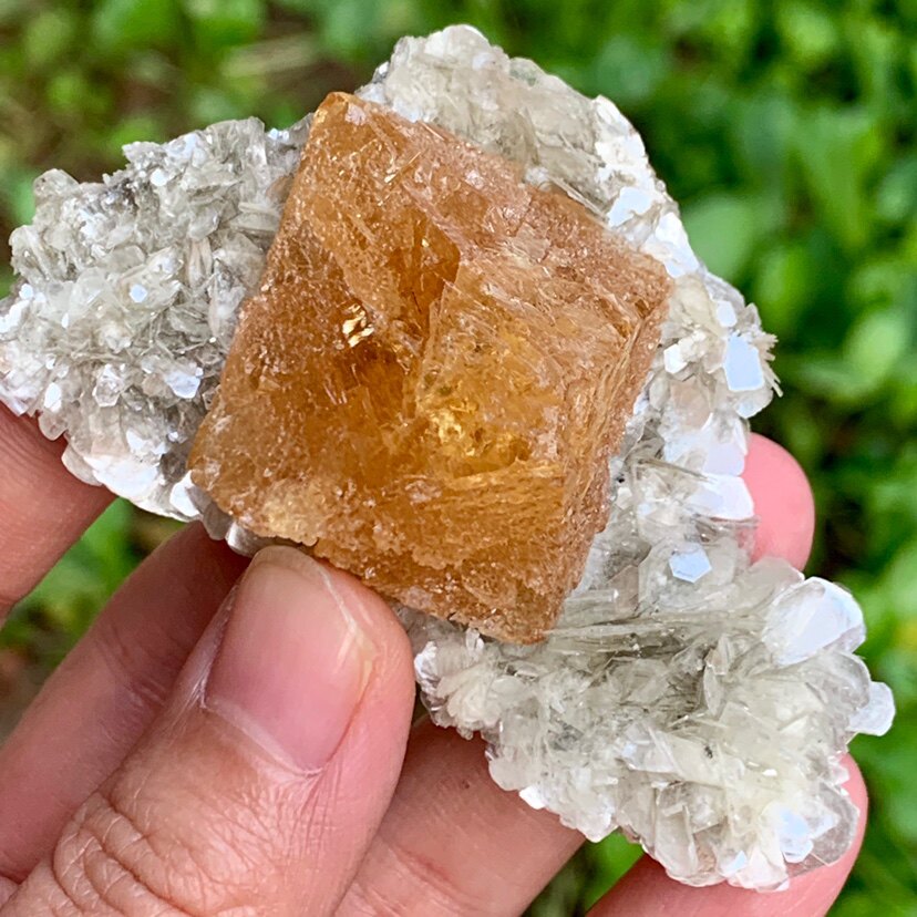 Xuebaoding Floating White Dock and Mica Symbiosis Natural Mineral Crystal Specimen Ornament Collection Teaching Science Popularization