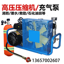 Silent oil - free diving fire prevention respiratory electric air compressor high pressure 30 40Mpa inflatable air pump compressor