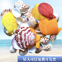 Wind chimes Handmade materials Homemade DIY materials for making wind chimes Accessories Home preschool education Meilao conch decorations