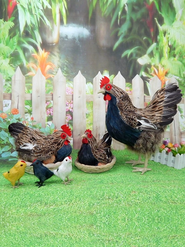 Имитация петуха, модель пернатой птицы, игрушки для животных, ремесла, реквизит для фотосъемки, несущие яйца, старые курицы, украшения для супермаркетов