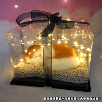 Shake the same bamboo charcoal bag simulation cat dog doll doll model Christmas to send Girlfriend best friend Birthday gift