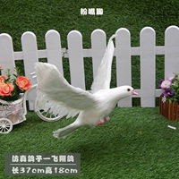 Летающий голубь -рот