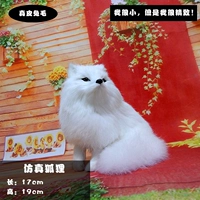 Приседание лисы -белости