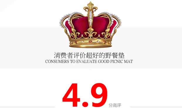 Mat ẩm ngoài trời Mat dã ngoại 175 * 220 Tăng cường mở rộng Độ ẩm không thấm nước Mùa xuân Tour Lều cắm trại - Thảm chống ẩm / Mat / Gối xốp trải sàn cho bé