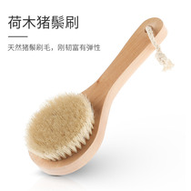 Bath brush Bath brush soft hair short handle rub back brush Massage brush Rub bath brush bristle body dry brush Leg fat