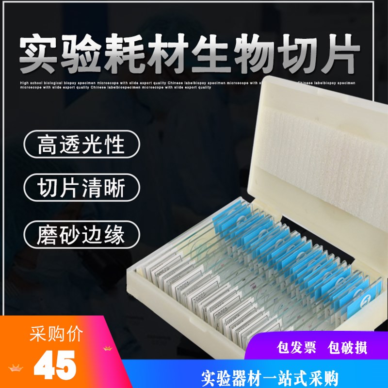 生物切片显微镜标本套装动物植物细胞昆虫玻璃载玻片实验儿童学生