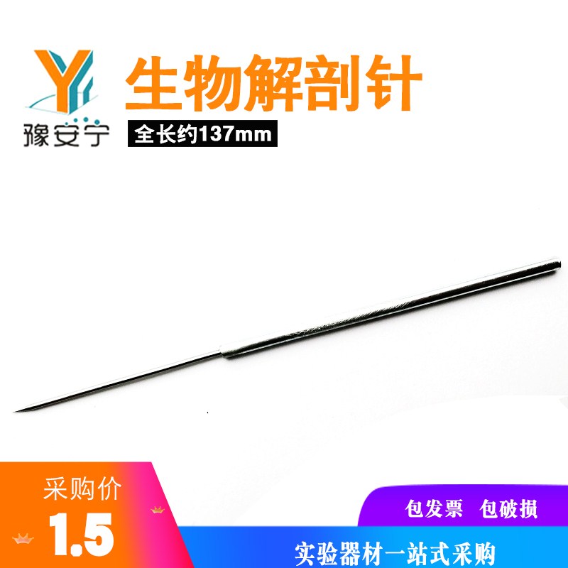 Insect Anatomical Needle Stainless Steel Secondary School Student Body Experimental Probe Straight Tip Teaching Anatomical Tool