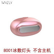 MYZLY Degross Instrument Accessories Dehairy Lamp Head Tender Skin Head Light Acne Lamp Head Single Sell without Host