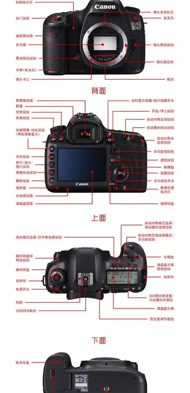 Bộ body kit đơn Canon / Canon 5DS Máy ảnh DSLR kỹ thuật số DSLR pixel pixel cao 5D4 1DX2 5DSR - SLR kỹ thuật số chuyên nghiệp