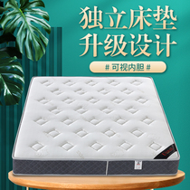 Simmons mattress 20cm thick soft and hard dual use 1 5 meters 1 8 coconut palm mat household economy Ridge spring mattress