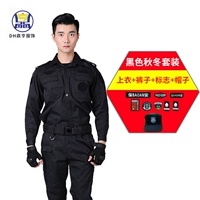 Осенний и зимний стиль (топ + брюки + логотип + шляпа)