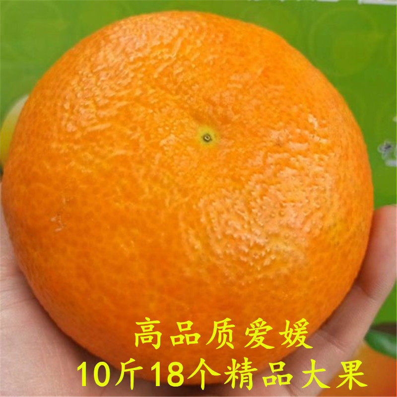 Ehime No. 38 jelly orange Sichuan citrus red beauty hand plucked orange fresh fruit gift special grade big fruit 10 pounds