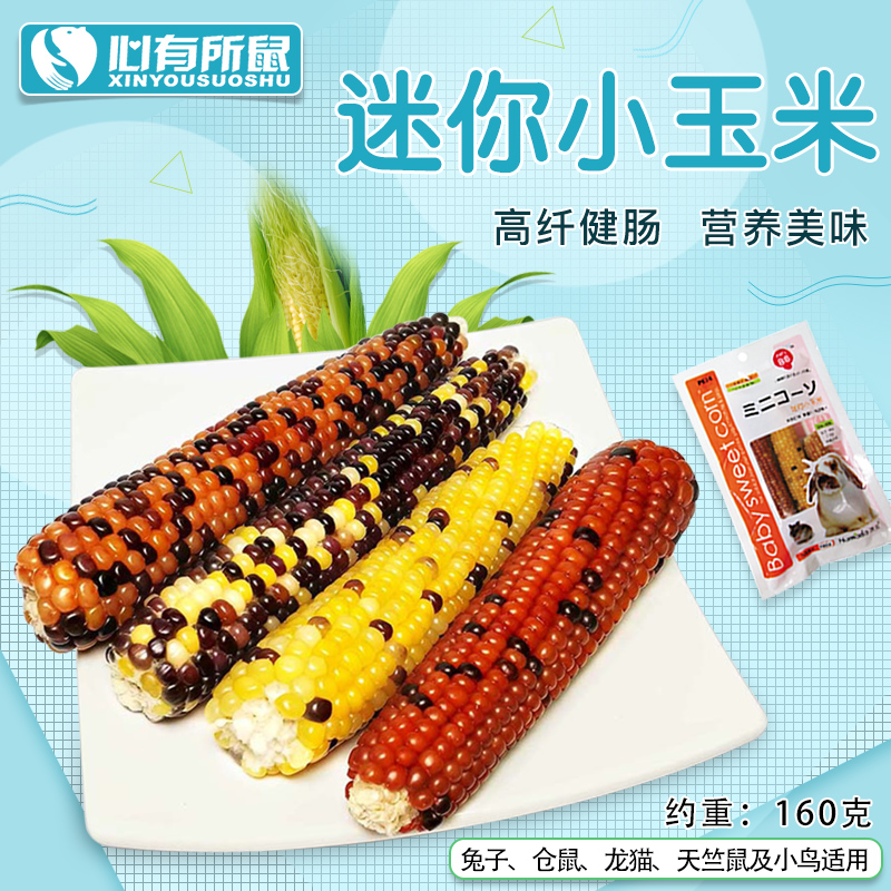 Hamada mini corn 160g Hamster snack Rabbit Chinchilla Guinea pig Dutch pig molar snack