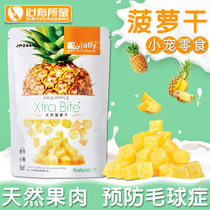 Jolly Natural Dried Pineapple Hamster Rabbit Chinchilla Guinea Pig Snack Small Pet Snack 90g