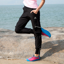 Tantuo spring and summer outdoor mountaineering quick-drying pants slim womens elastic breathable quick-drying pants thin drawstring nine-point pants small feet