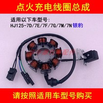 Suitable for Haojue Silver Leopard HJ125-7D 7E 7F 7M 7N7G ignition coil magneto charging coil stator