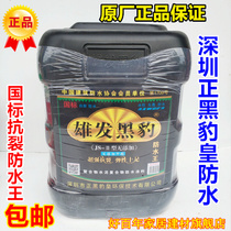 Waterproof Paint Positive Black Leopard Royale Superior Polymer Cement Waterproof Rubber Toilet Bathroom balcony 25 kg