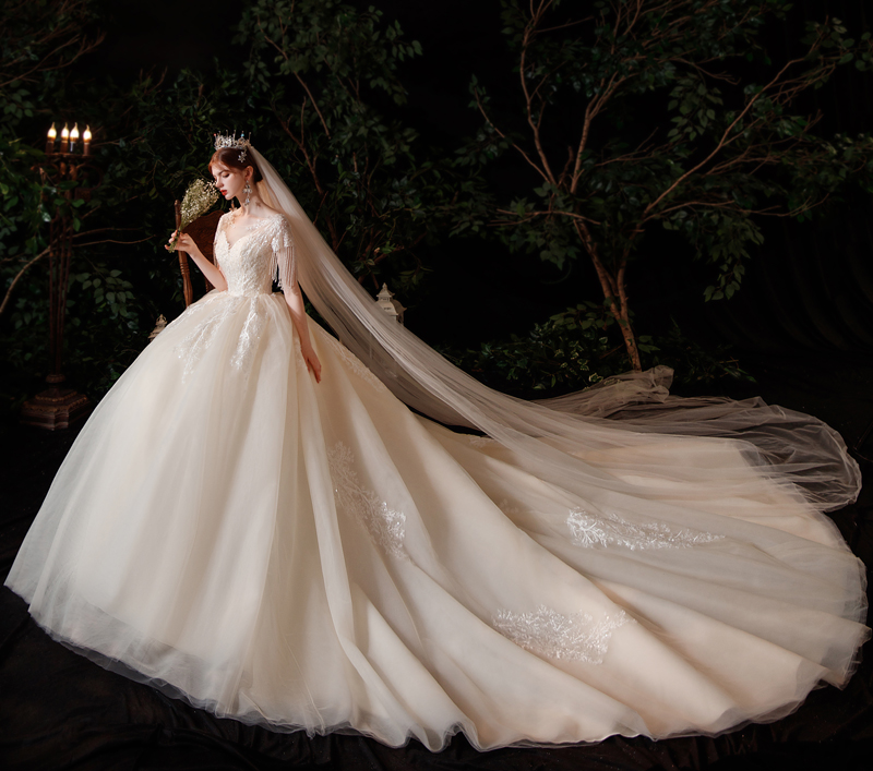 Champagne color tail wedding dress plus skirt+S   + $17.28 