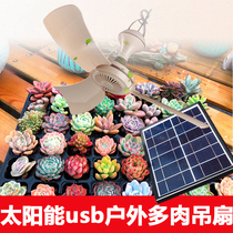  Solar USB small ceiling fan charging treasure Outdoor fleshy ventilation fan Pet botany student small fan mini