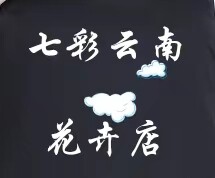 七彩云南花卉店2