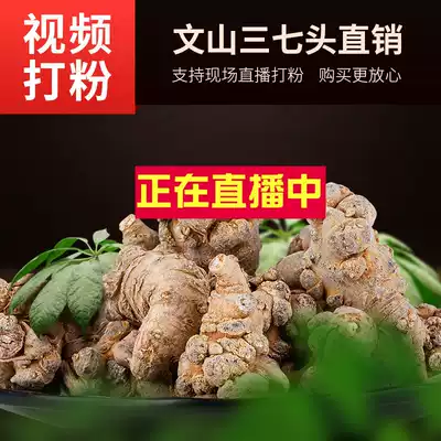 Yunnan Wenshan Spring Sanqi Grade 12 head 15 head 20 head wild field seven powder 500g can be substituted grinding powder slice