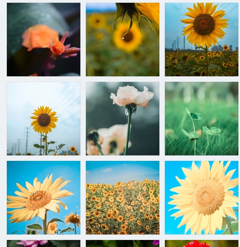 Photography Services, Photo Materials for Sale, Design Materials, Photo Source Files for Sale