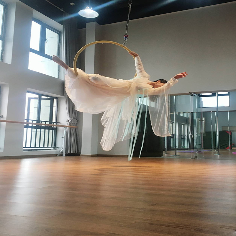 Aerial Yoga Dance Rings Multifunction Bar Dealer Acting Gymnastics Acrobatic High Altitude Single Ear Stainless Steel Swivel Rings