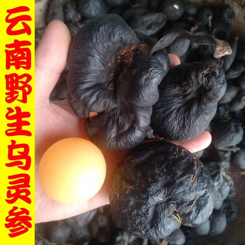 Yunnan wild black ginseng chicken fir eggs Lei Zhenzi chicken tuckahoe hanging golden bell black ginseng ground charcoal stick 50g