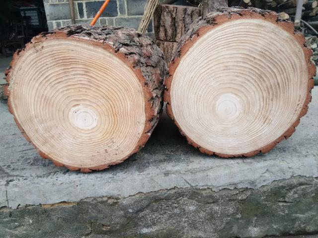 Rễ cây thông khắc phân, khối gỗ đặc, bàn trà khắc rễ, bàn trà, phân phù hợp, trụ cây, ghế gỗ, gốc cây - Các món ăn khao khát gốc bàn ghế gốc cây gỗ hương
