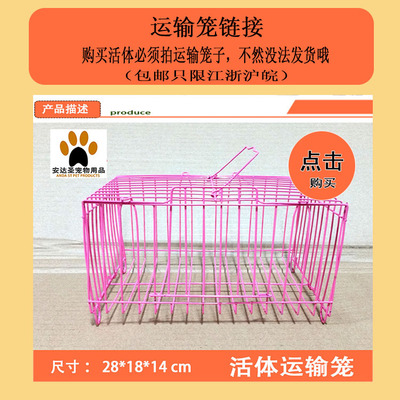 Pet cage rearing cage packages Transport Cage Rabbit Living Goods Mandatory Pat Transport Cage External with cage rearing cage