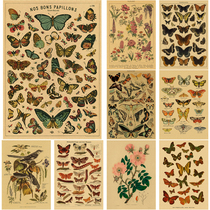 Butterfliers Poster Flower Birds Retro Kraft Paper Prints Bot