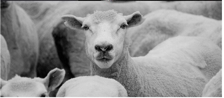 Pantalon cuir homme en vrac pour hiver - Ref 1481257 Image 15