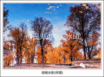 Original Photography Works-Huyang Water Shadow HD Digital Photo Electronic Photo Plants scenery inverted gold Tower