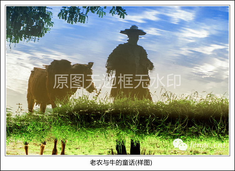 Original Photography Works-Old Agriculture and Niu's fairy tale HD Digital Photo Electronic Photo Chronicle Rural Humanities